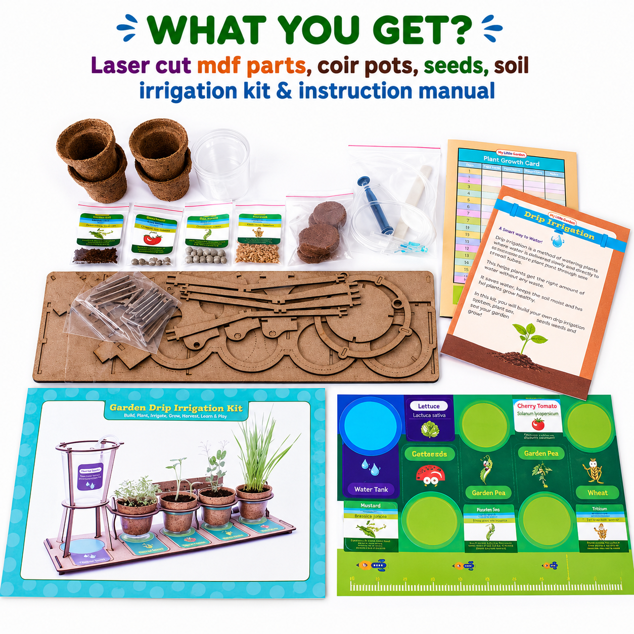 Little Farmer Gardening DIY Kit - Grow your Real Plants at Home & Learn Science - For Age 5+