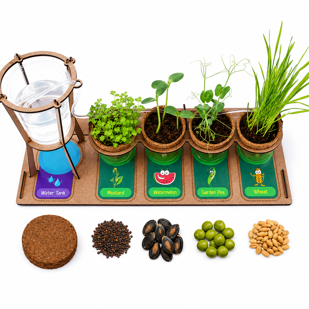 Little Farmer Gardening DIY Kit - Grow your Real Plants at Home & Learn Science - For Age 5+